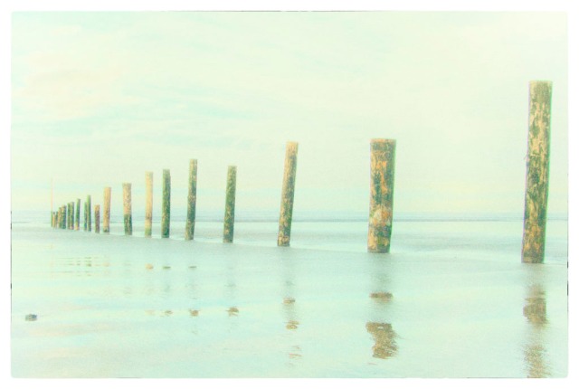 Wooden posts arranged in long line to mark off an area of the beach